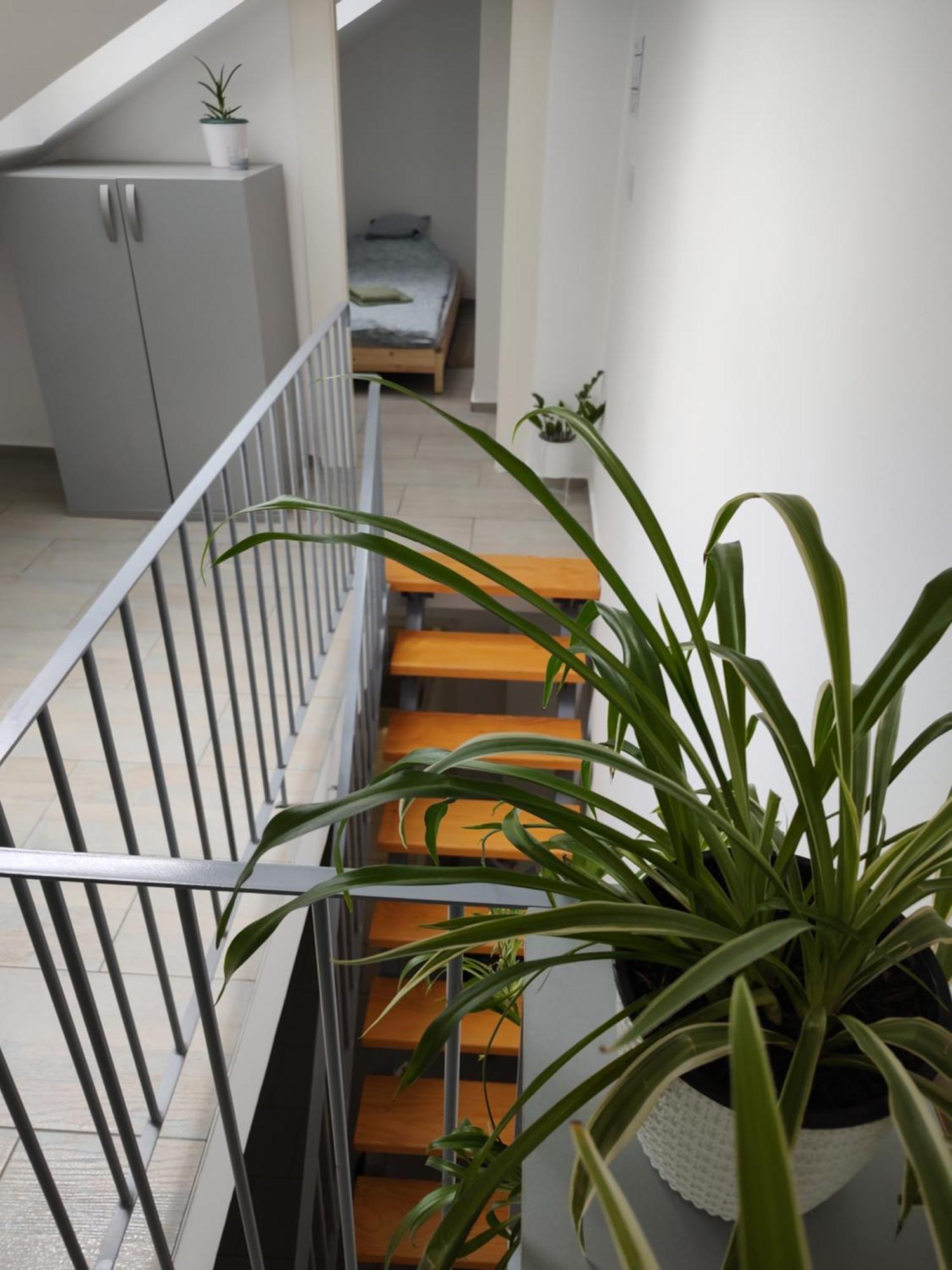 Twowheels Apartment - Apartment With Bicycles Novi Sad Chambre photo