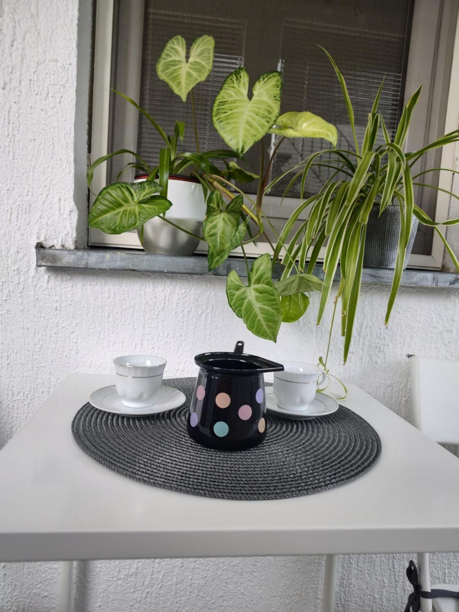 Twowheels Apartment - Apartment With Bicycles Novi Sad Extérieur photo
